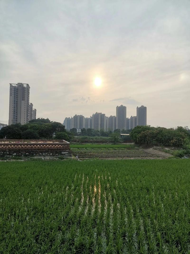 珠海最大的房地产开发商,建好了都有两三年了,就只租了几栋给公